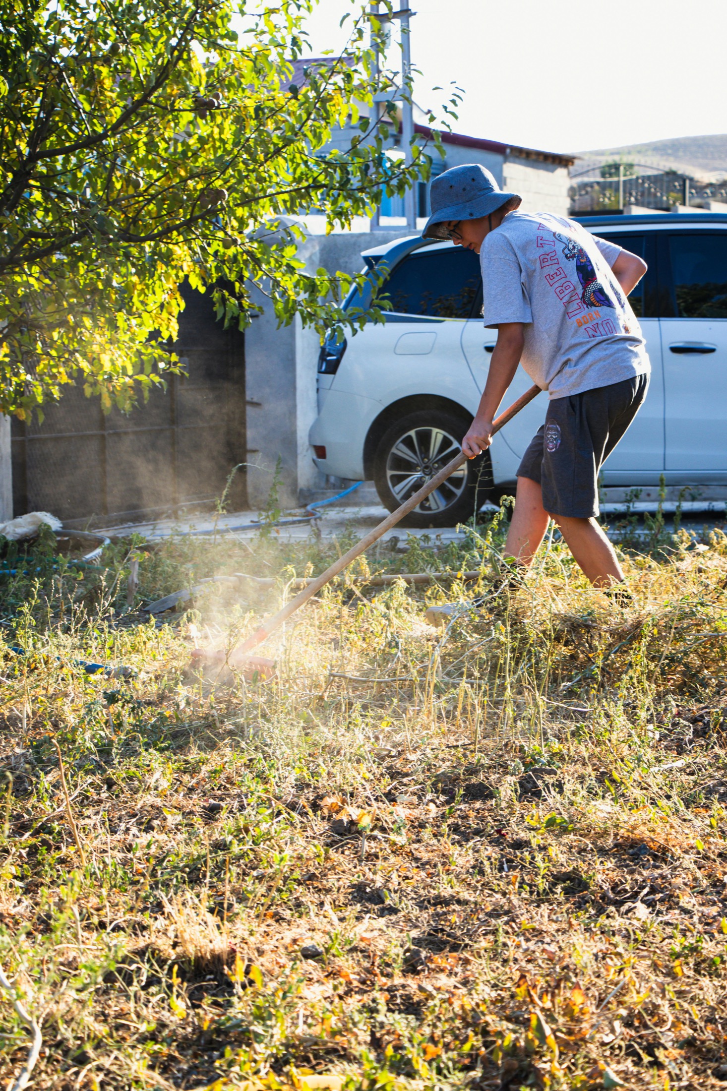 Yard cleanup work in progress on a residential property